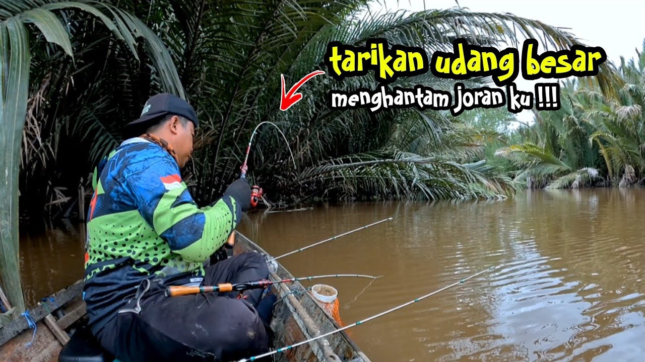 Joran sampai melengkung tajam di tarik udang galah penghuni pohon Nipah !!