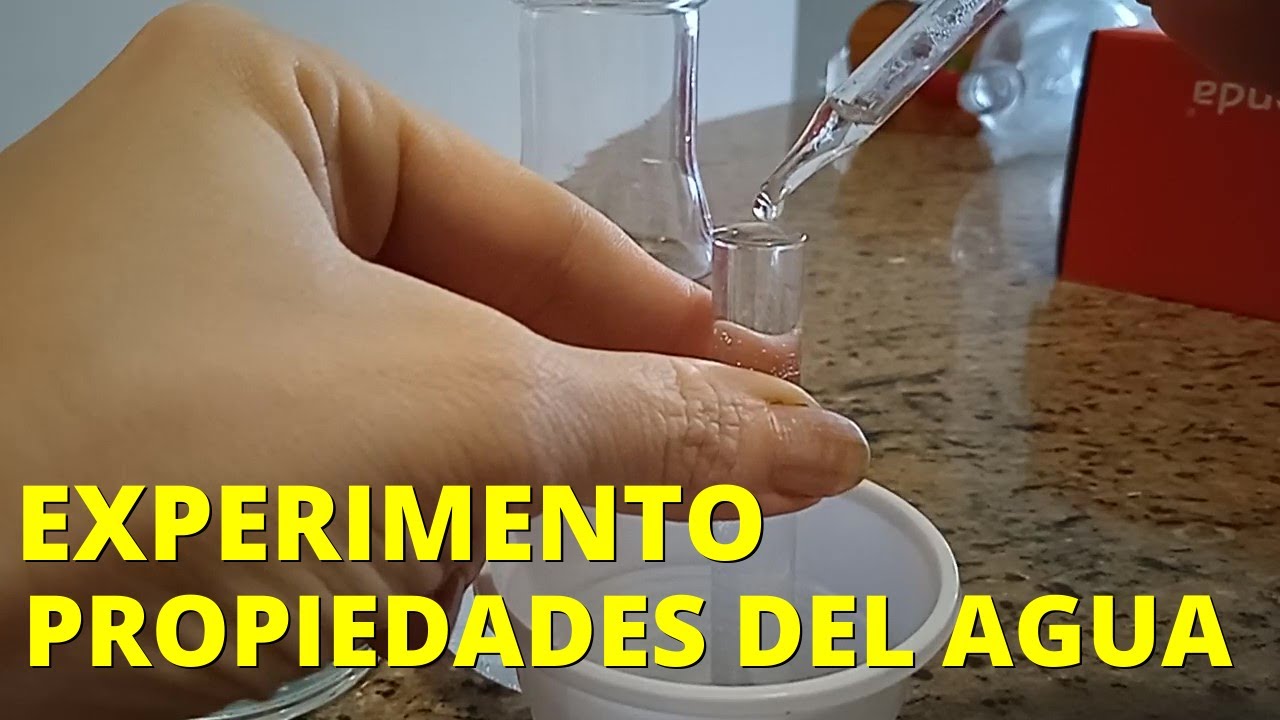 Experimento sobre las propiedades del agua: capacidad calor&iacute;fica, densidad y superficie💧👩&zwj;🔬