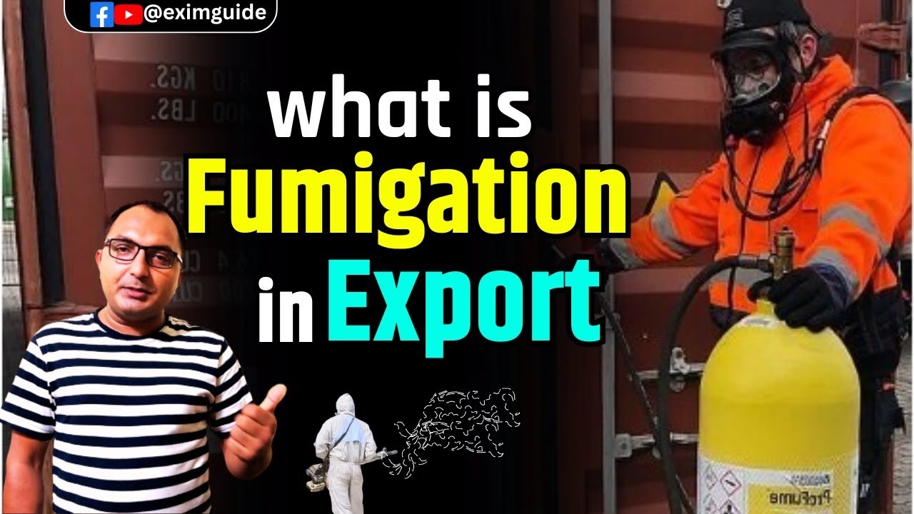 Why Fumigation certificate required in export | What is fumigation certificate for export