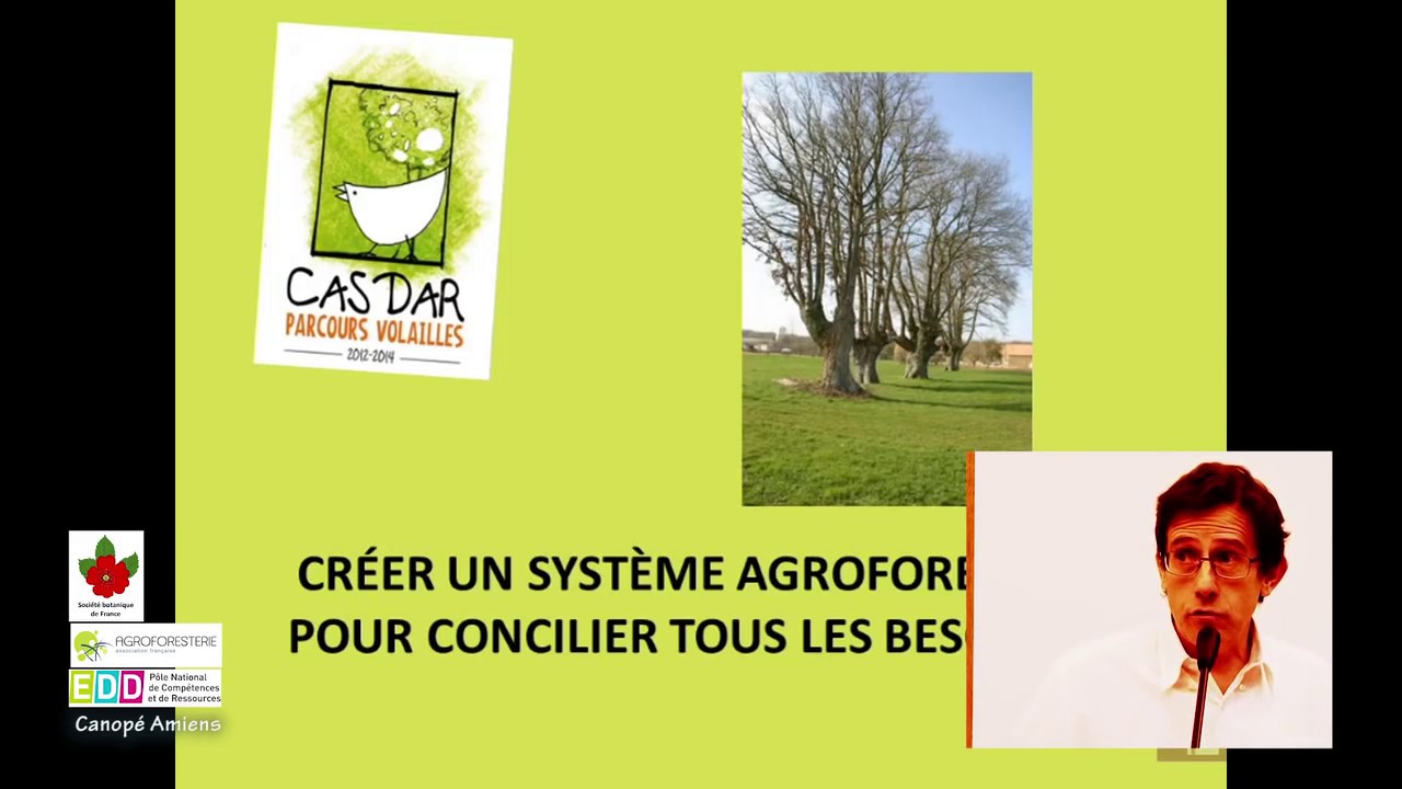 Volailles et systèmes agroforestiers   Philippe Guillet