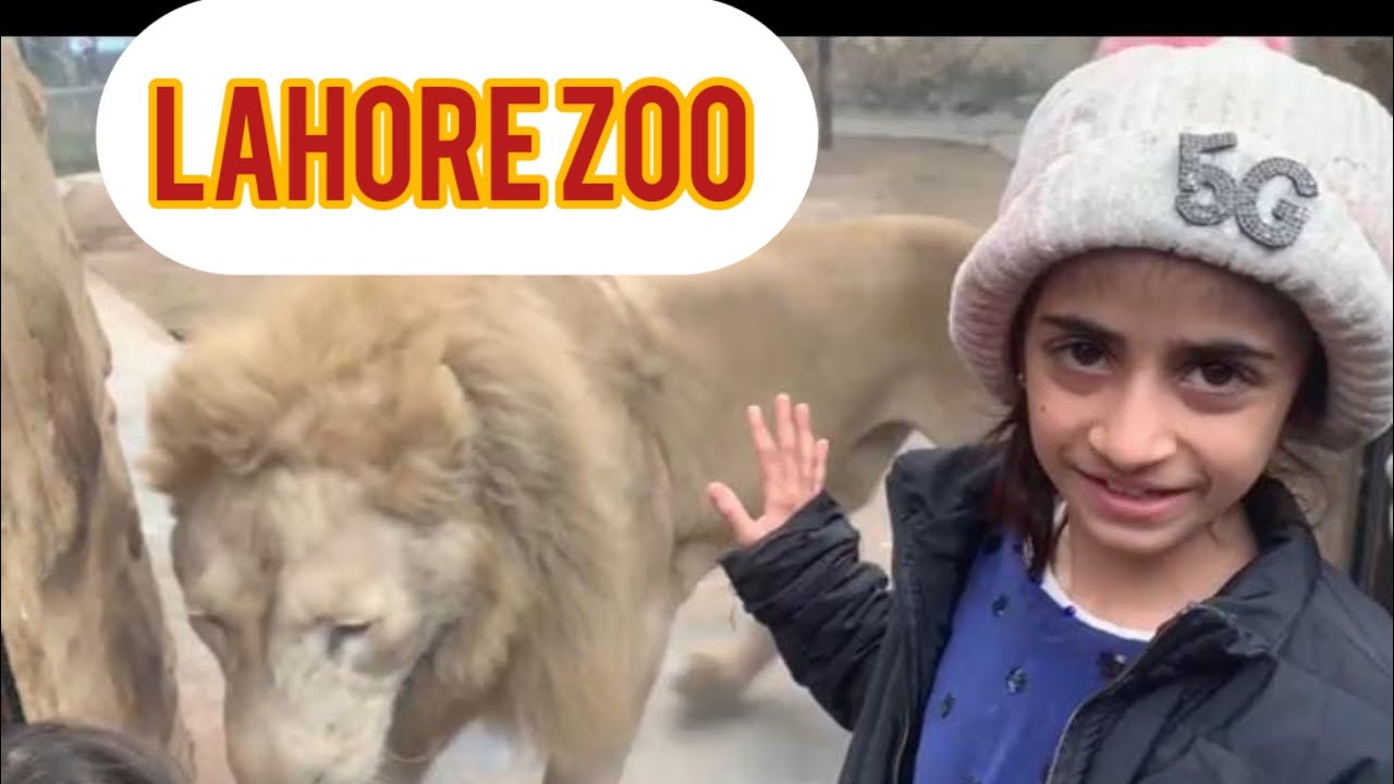 Eshaal, Hania & Zohan ka Lahore Zoo Trip 🦁✨
