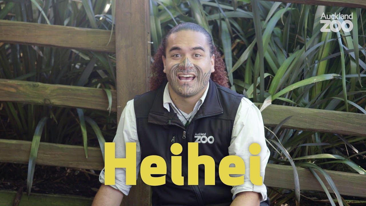 Te Wiki o Te Reo Māori with Hōhepa - Heihei