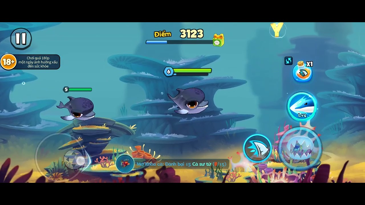 Cá ăn cá Fish Eat Fish: Cá heo mũi chai