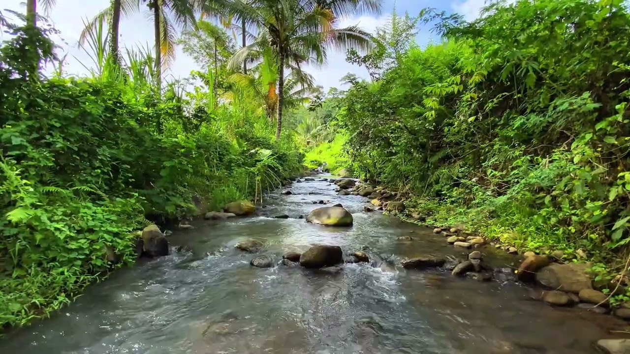 🌙 Slow Down Tonight 🍃 Soft River Flow For Relaxing Moments