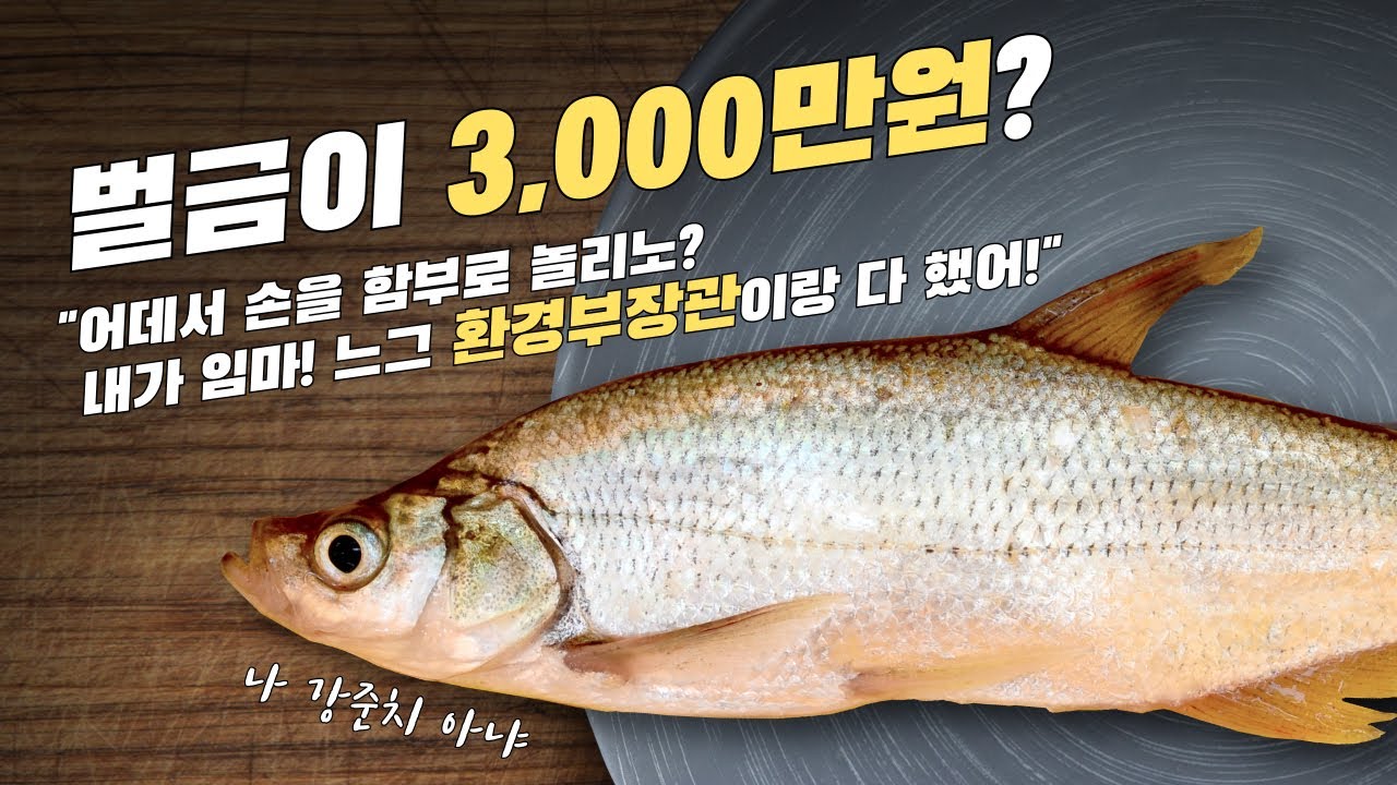 강준치인줄 알고 잡아먹었더니 벌금이 3,000만원?  강과 계곡에 놀러가기 전에 꼭 시청하세요! [멸종위기야생동물어류편]