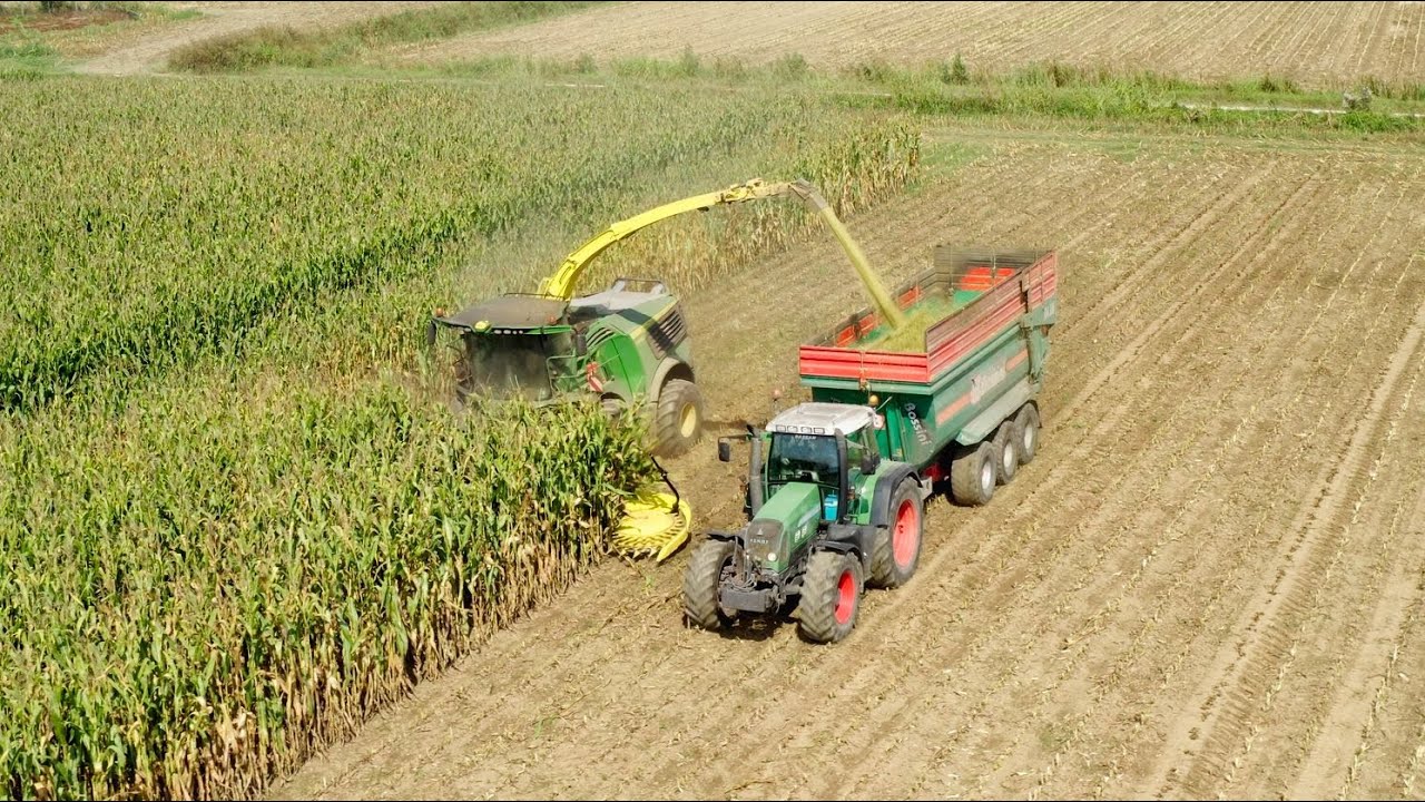 John Deere 9900i + Kemper 490plus - Insilato di Mais -ceroso- 2024 | by Ale02
