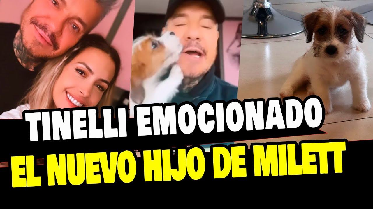 MILETT FIGUEROA Y MARCELO TINELLI TENDRÁN A SU PRIMER BEBÉ PERRUNO JUNTOS?