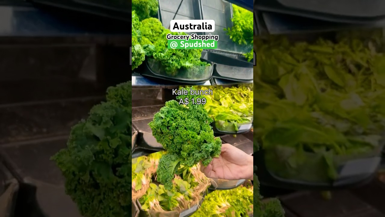 Perth Australia | Grocery Shopping at Spudshed
