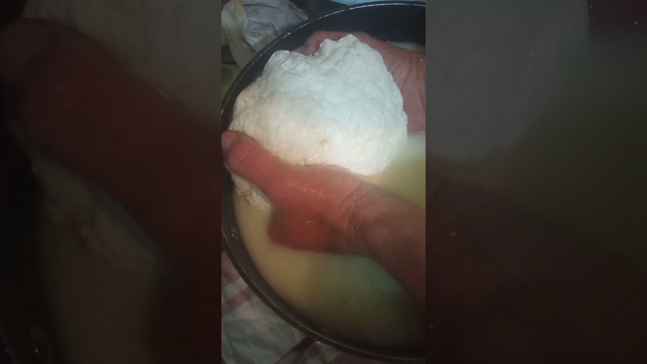 formaggio e ricotta fatti in casa