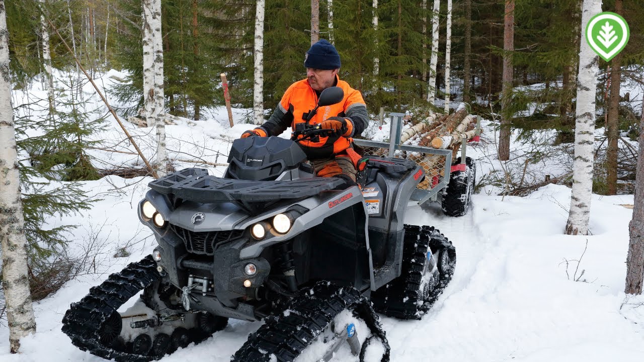 Telamönkijällä puuta louhikon takaa | Metsälehti