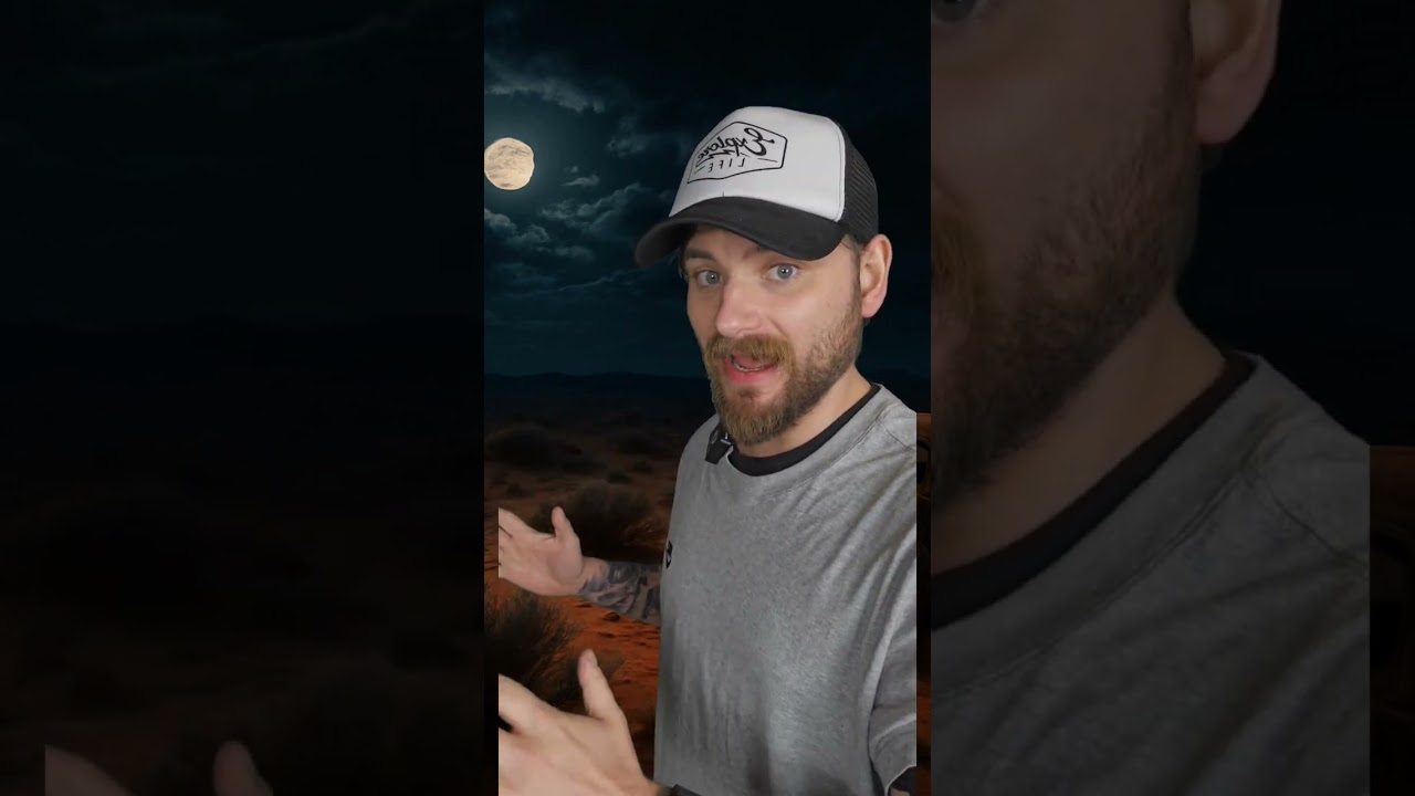 The true horrifying crime that inspired WOLF CREEK #truecrimecommunity #truecrime #wolfcreek #scary