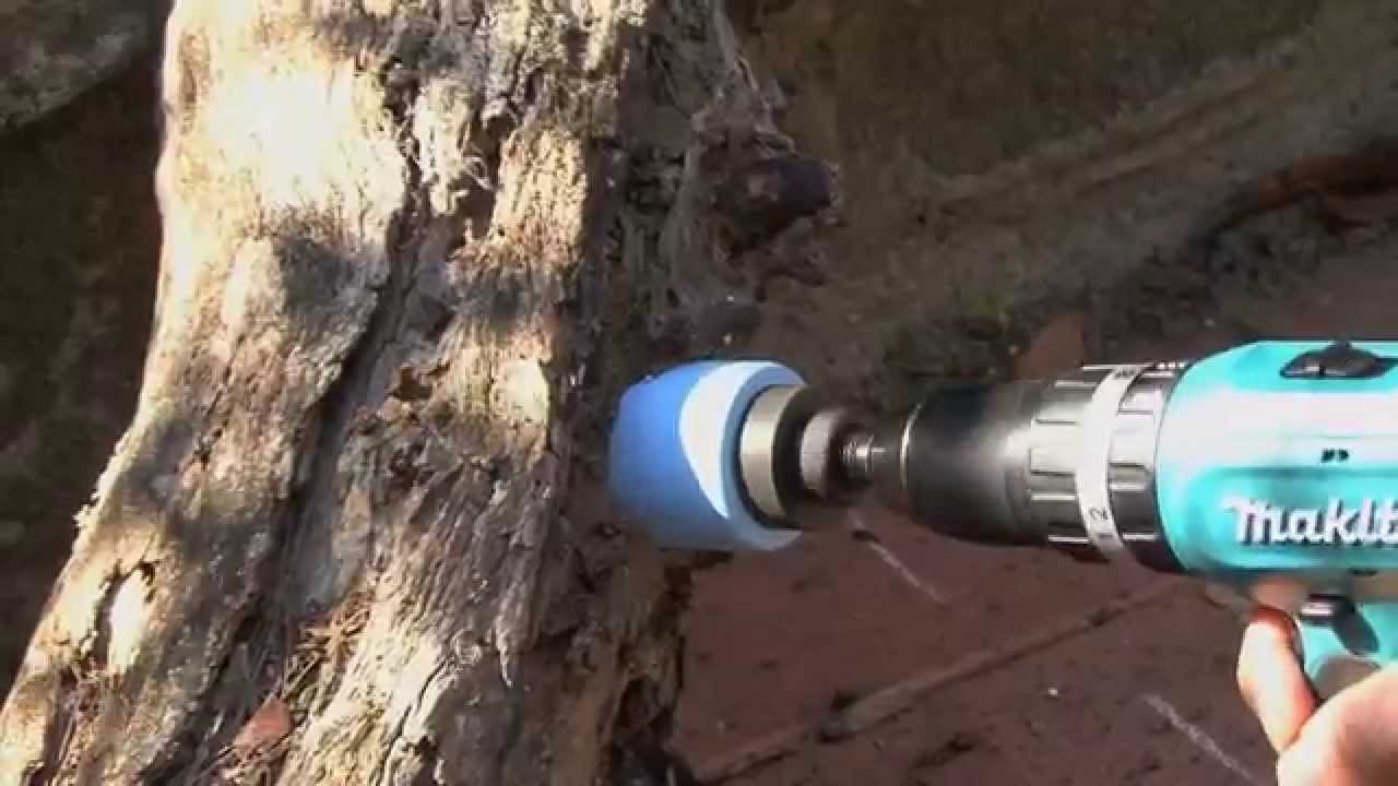 Stingless Aussie Bees - Eduction Tutorial 3