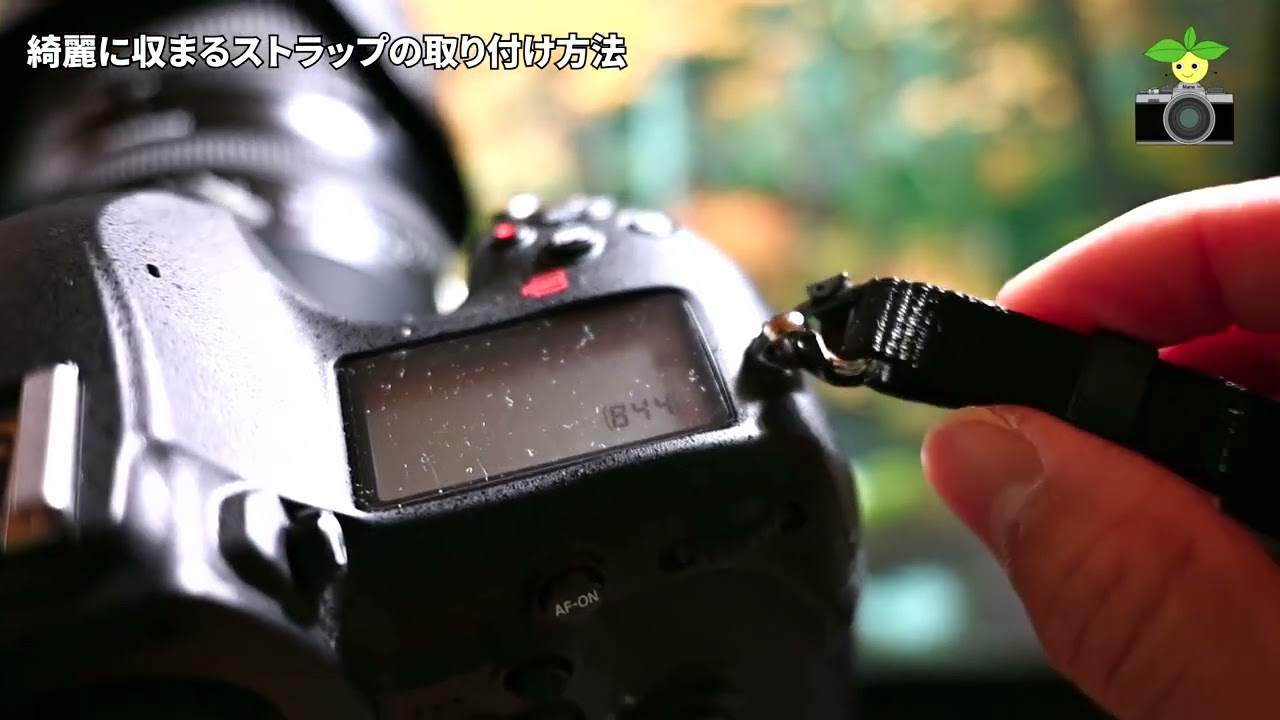 Nikon 古い一眼レフを購入した【初心者のための動画】D7000カメラの初期設定方法 No,1