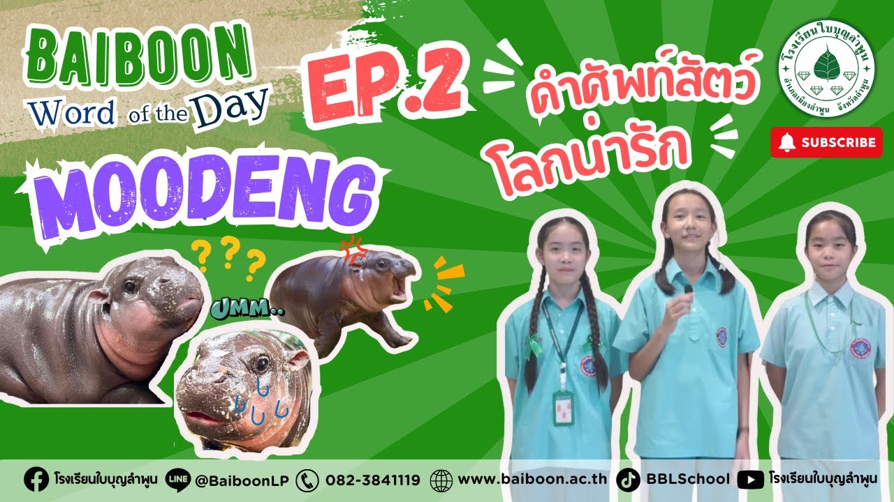 BBL | Baiboon Word of the day EP.2  ฮิปโป Hippopotamus