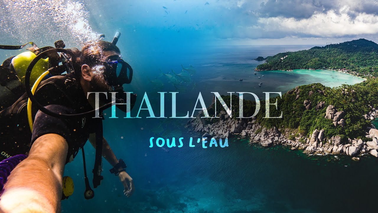 Je plonge en Thailande ! (EP3)