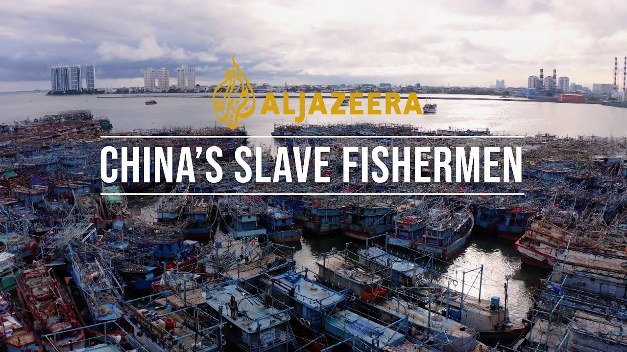 China's Slave Fishermen | Preview
