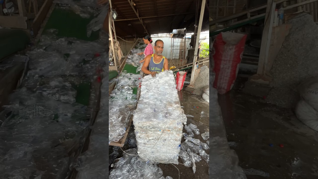 Plastic Bottle Recycling Process #shorts
