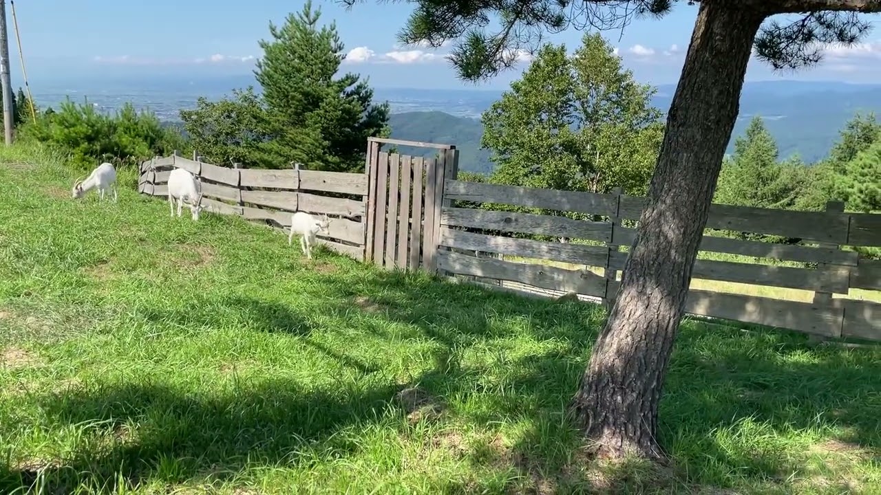 2024 0819 Mt  Ajara Kogen Area Mountainbike Ride