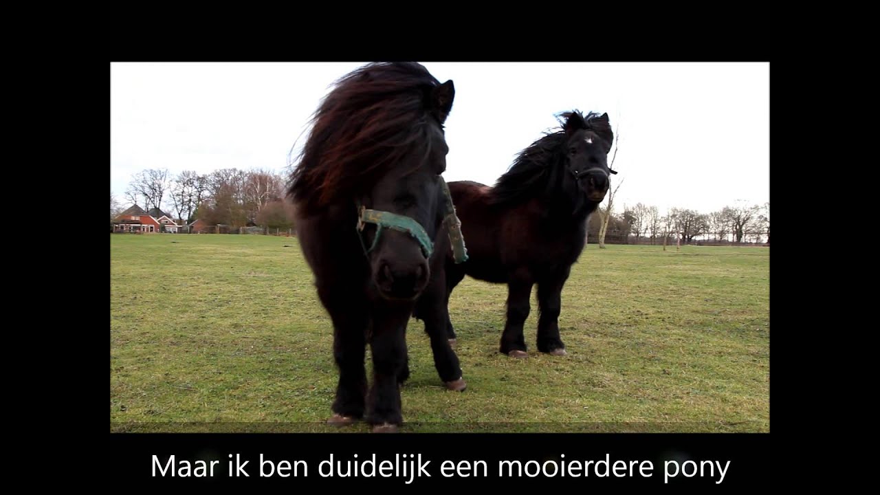 Groene Wissel-wandeling rond Anloo in Drenthe