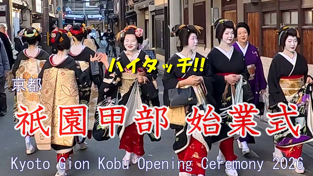 稲穂のかんざし金の帯、正装の舞妓さんに出会える日！！　京都　祇園甲部始業式　2026　Kyoto Gion Kobu Opening Ceremony 2026