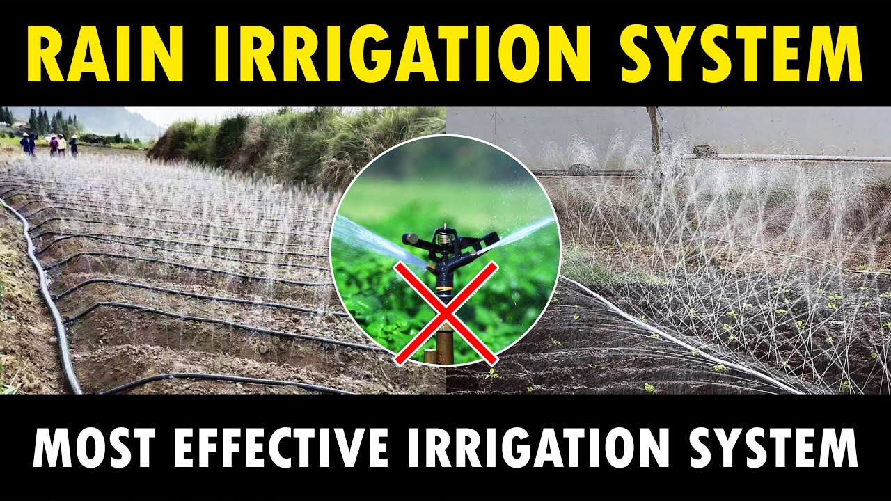 Rain Pipe Irrigation System | Rain Drip Irrigation System