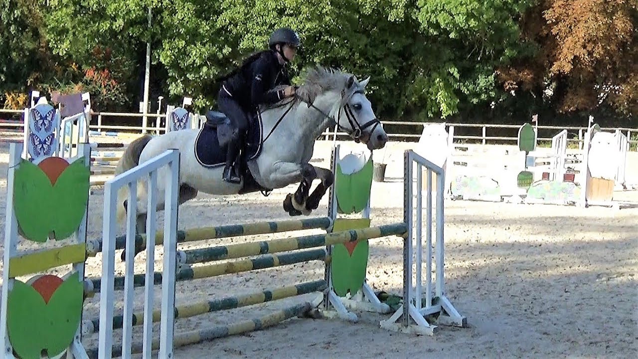 ■ 06/10/2019 Concours-Entrainement St Germain/Morin - PElite - Celtik des Mioko - CSO - Clara Maitre