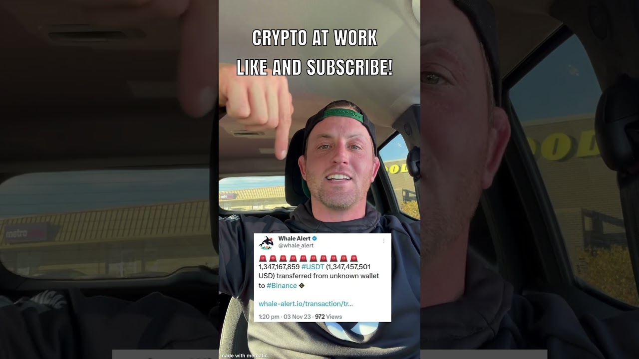 Whale Alert! #crypto #cryptocurrency #cryptonews #bitcoin #altcoins #money #investing #crypto