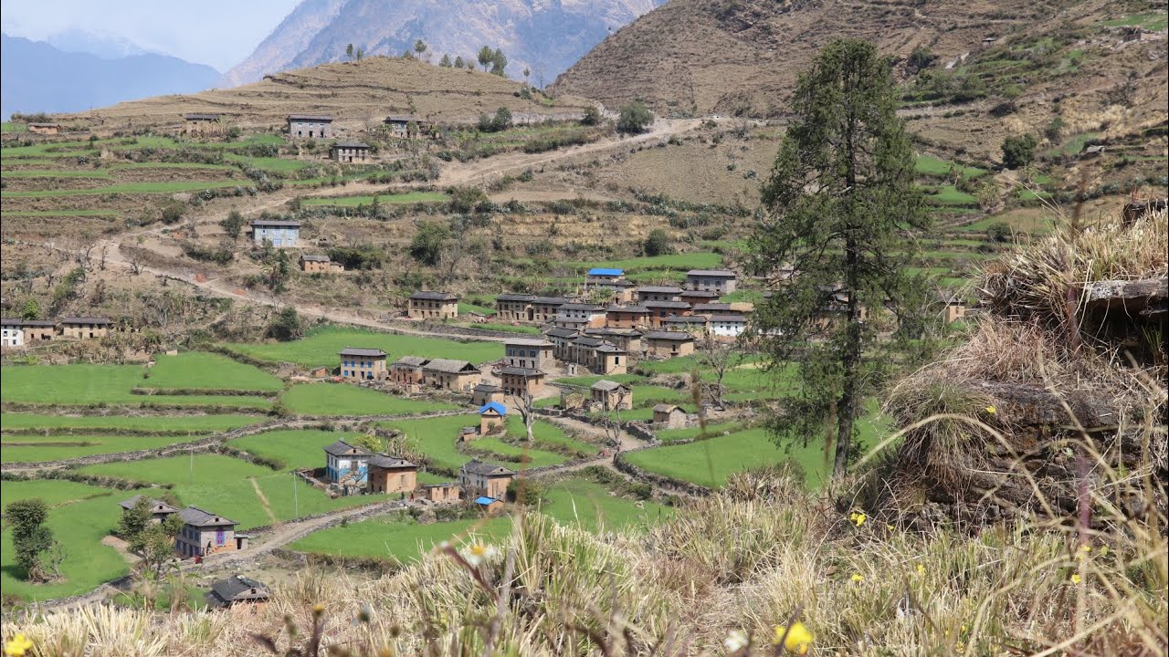 This is Himalayan Village Life : Simply The Best Nepali Village Lifesyle 🔴 Watch Live Now 🔴
