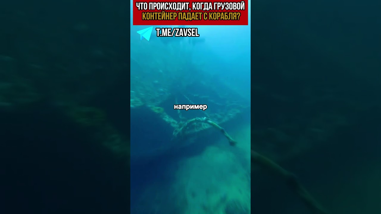 Самый невероятный улов: Айфоны и айпады из морских волн!