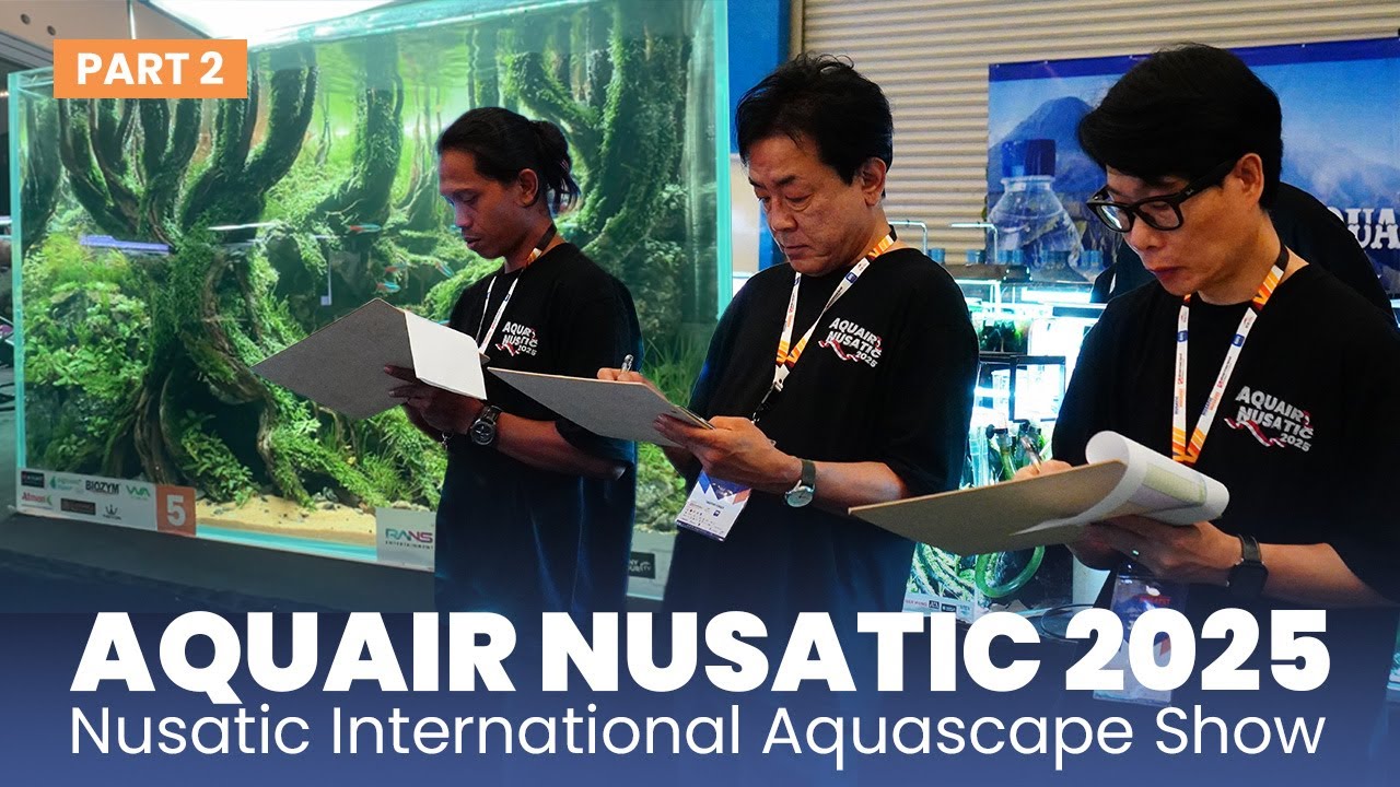 AQUAIR NUSATIC 2025 | PART 2