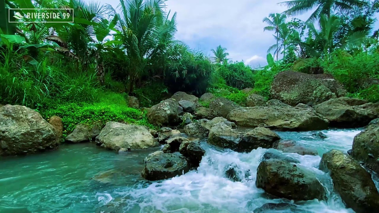 River Sounds for Sleeping Naturally | Clean River Water Sounds for Peaceful Nights