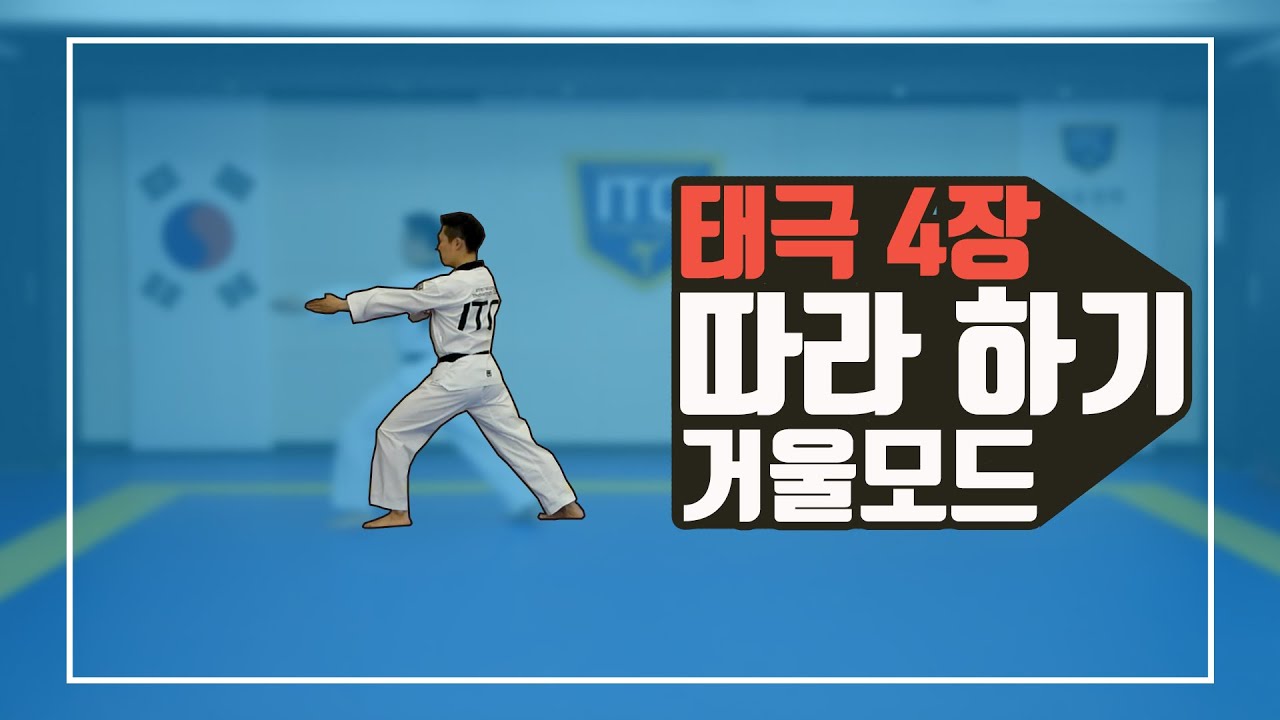 Taegeuk Sa-Jang (4) Mirror mode | 태극 4장 거울 모드 by National athlete