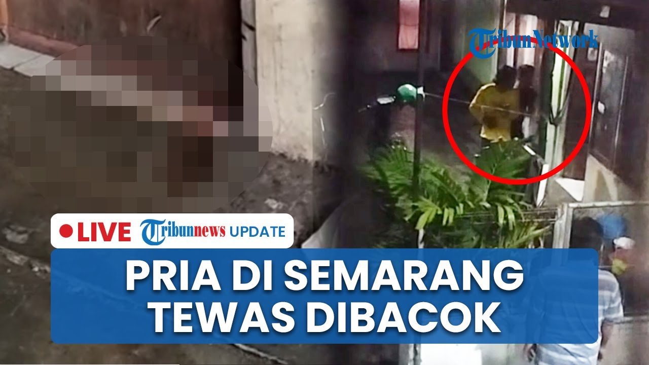 🔴 LIVE: Nasib Pria di Semarang Barat Dikejar Gerombolan Orang ke Kamar Kos, Berakhir Tewas Dibacok