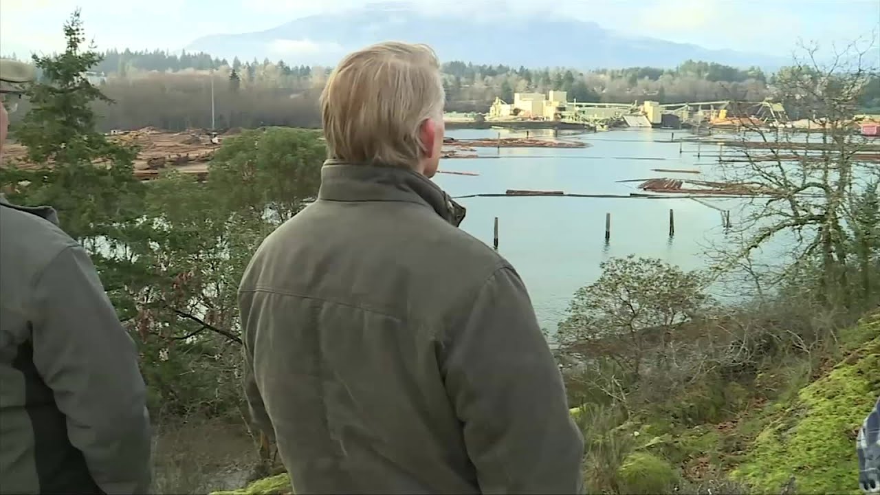 ‘It’s a scary situation’: Laid off Crofton, Chemainus mill workers struggle to get EI