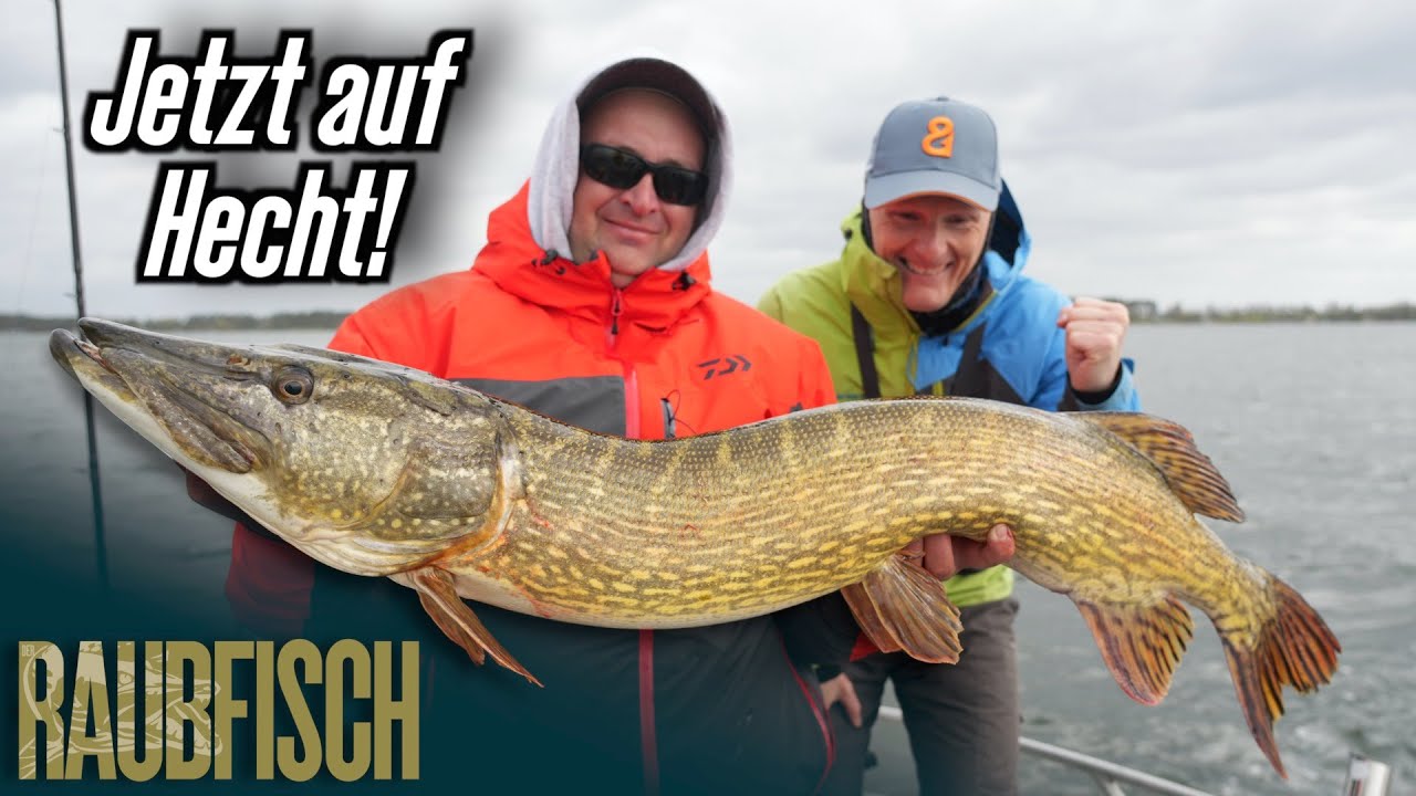 Frühjahrs-Hechte vom Plauer See