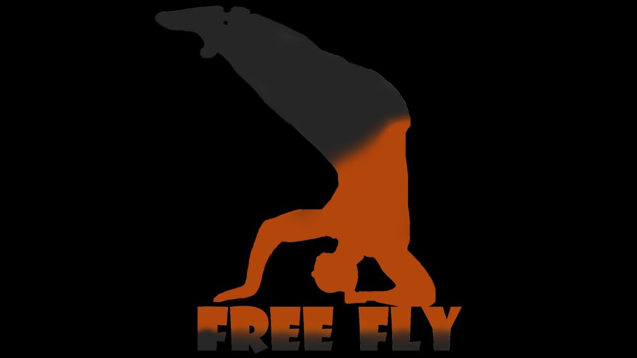 Free Fly gym (Parkour,Freerun OCR)
