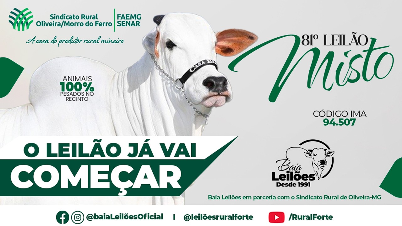 80º LEILÃO VIRTUAL E PRESENCIAL DE CORTE SINDICATO DE OLIVEIRA, OLIVEIRA - MG, DIA 24/02/26.