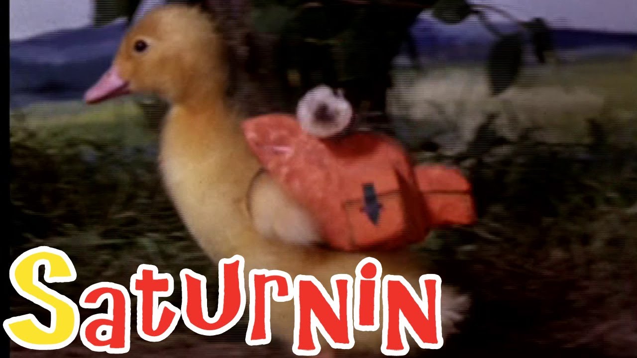 Saturnin - Saturnin à la campagne