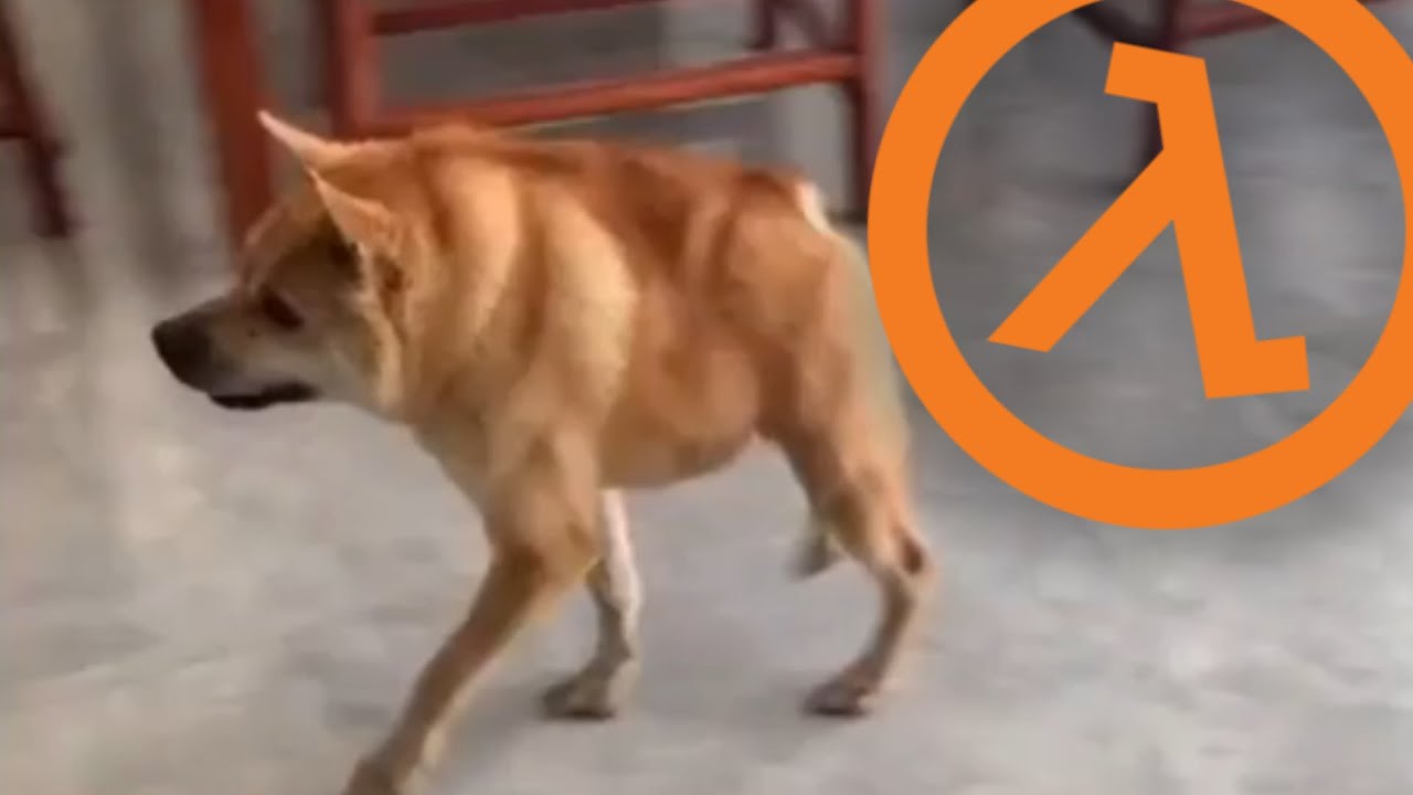 Houndeye IRL (Half Life SFX)