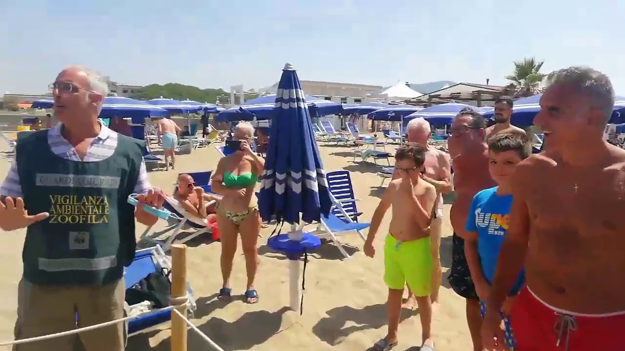 Cellole (CE) - Le 70 uova di tartaruga a Baia Domizia (14.08.20)