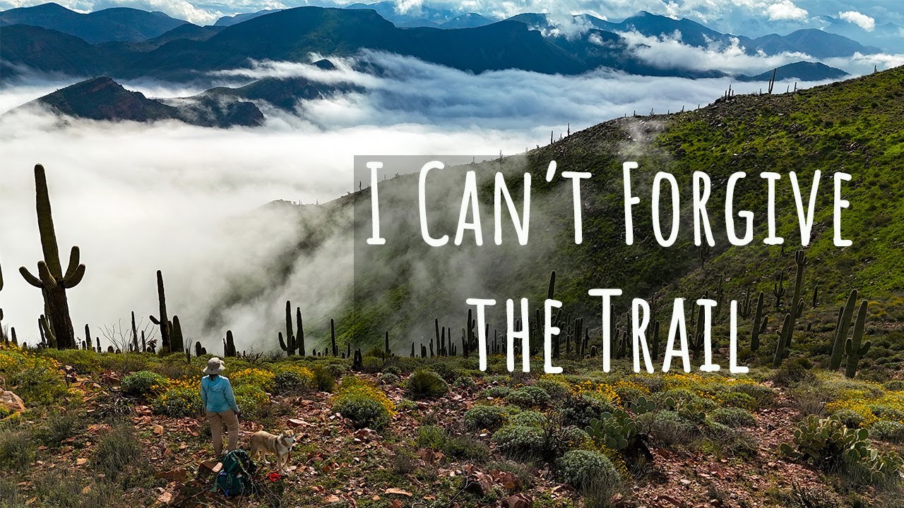 Как разрушить свою жизнь за шесть миллионов шагов