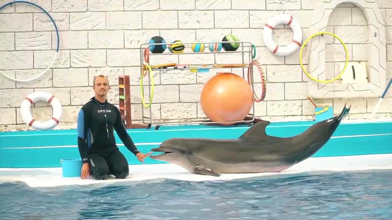 Lara Beach | DOLPHINARIUM Antalya - Turkey