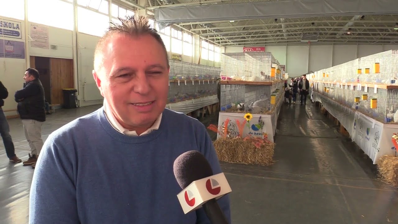 Verseny és találkozó – 14. Országos Nyúlkiállítás Püspökladányban