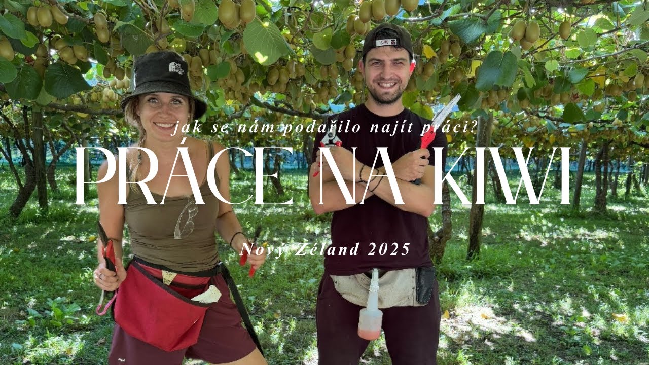 #3 PRÁCE NA KIWI🥝 | Nový Zéland 