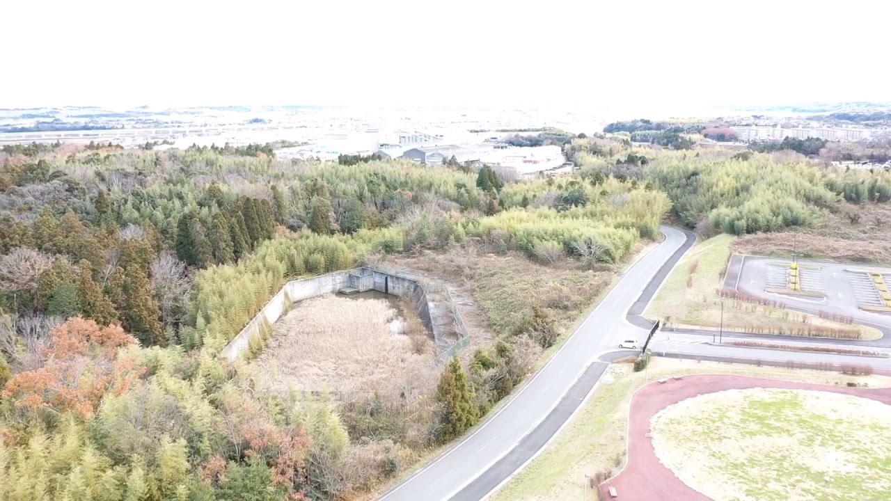 DF2019-01