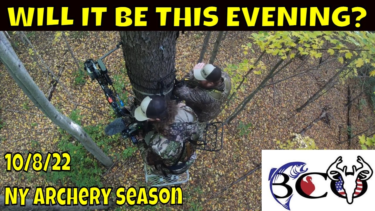 looking to punch that first tag of our NY archery season | bco hunts |