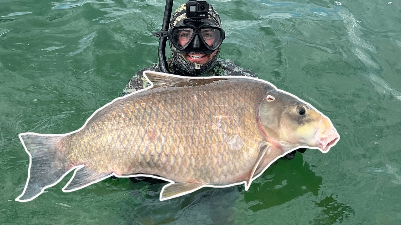 Spearfishing For River MONSTERS (Catch Clean Cook) And Summertime Crappie Fishing