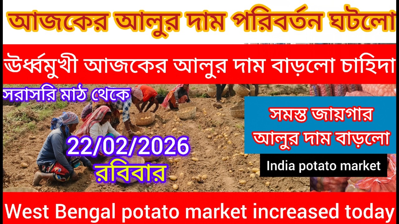 আজকের আলুর দাম ঊর্ধ্বমুখী🔥উত্তর থেকে দক্ষিণবঙ্গে আলুর দাম পরিবর্তন ঘটলো/WB potato market increased