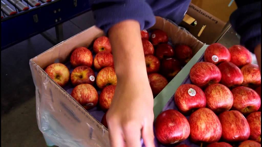 MRA Post Harvest Job Opportunities 01