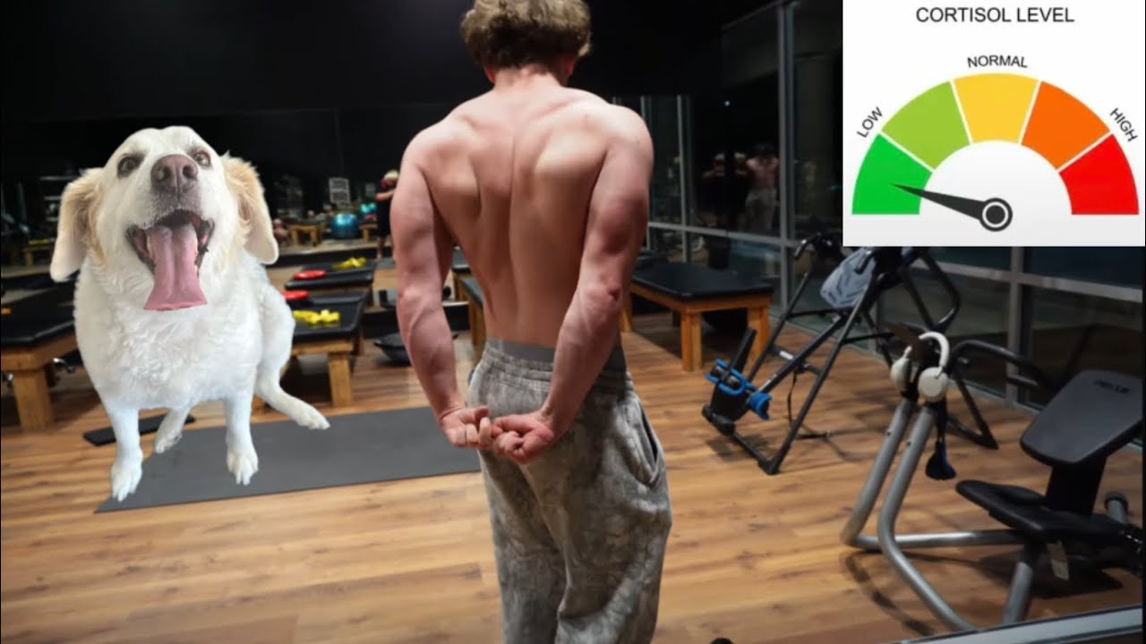 LOW CORTISOL UPPER DAY (best split for muscle growth) w/blane